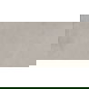 Mexen Recto Светло сив проба от полиран порцелан рект. G1, подова и стенна плочка 120 x 60 см, мат - TL333-02-S