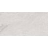 Mexen Alice Сребърен образец на глазирани плочки рект. G1, подово-стенна плочка 120 x 60 см, резба - TL339-01-S
