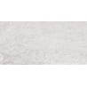 Mexen Alice Сребърен образец на глазирани плочки рект. G1, подово-стенна плочка 120 x 60 см, резба - TL339-01-S