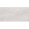 Mexen Alice Сребърен образец на глазирани плочки рект. G1, подово-стенна плочка 120 x 60 см, резба - TL339-01-S