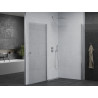 Mexen Pretoria Душ кабина Duo с отваряща се врата 80 x 70 см, прозрачна, хром
