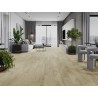 Mexen Calera проба на винилови панели LVT Dryback 2,5 mm, PVC подложка, 4 V-фуга, Дъб