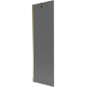Mexen Next душ параван 1-крилен 60 x 150 cm, графит, златно - 895-060-000-00-40-50